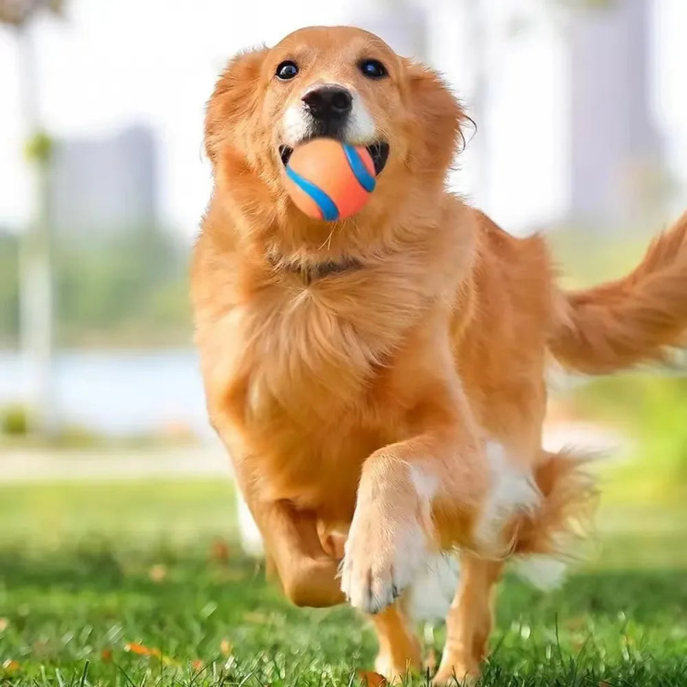 Durable Fetch Ball Toy for Dogs