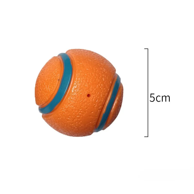 Durable Fetch Ball Toy for Dogs