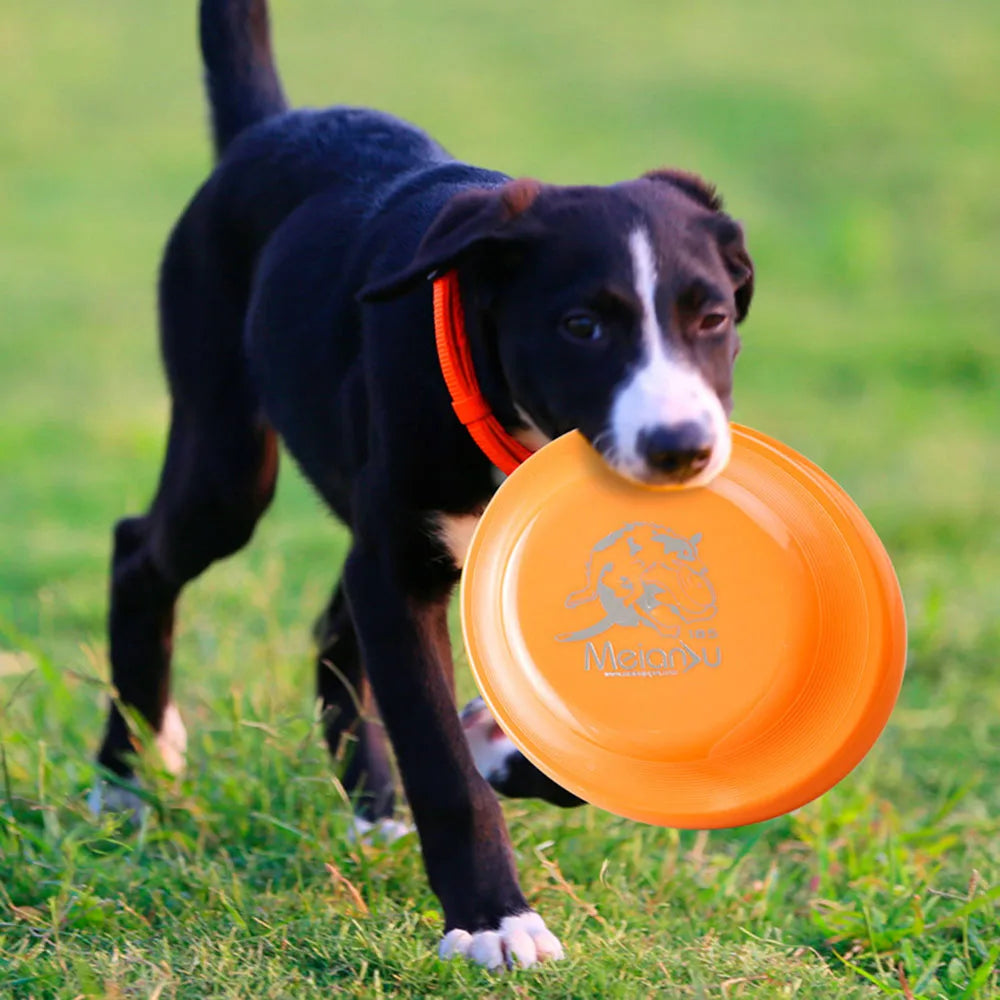 Durable Training Disc for Dogs