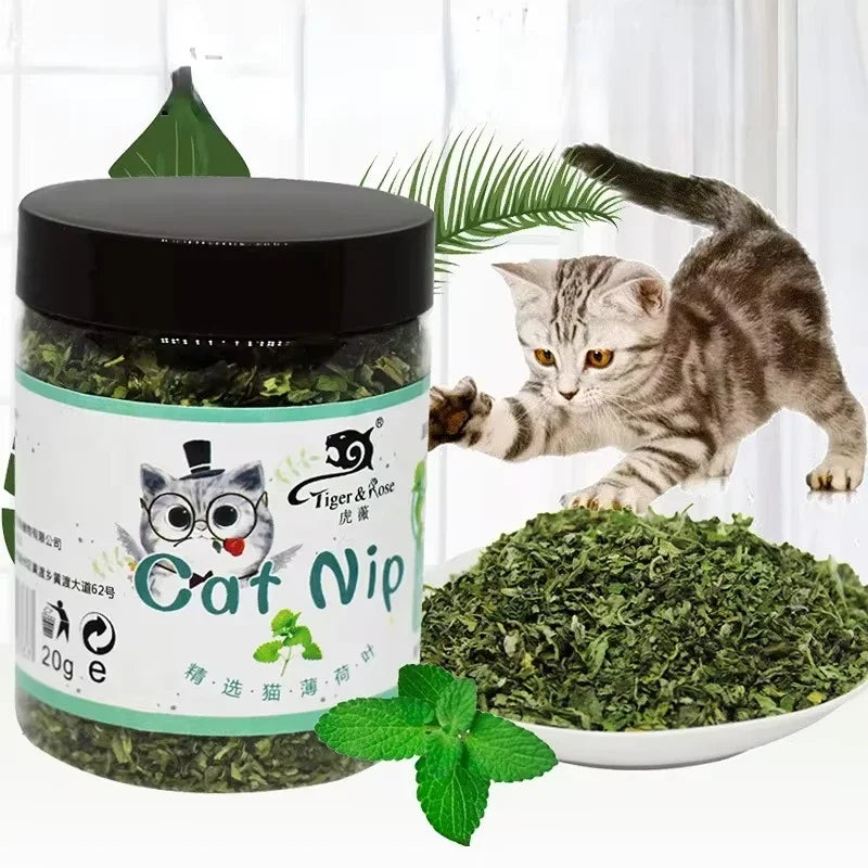 Organic Catnip & Interactive Cat Toys