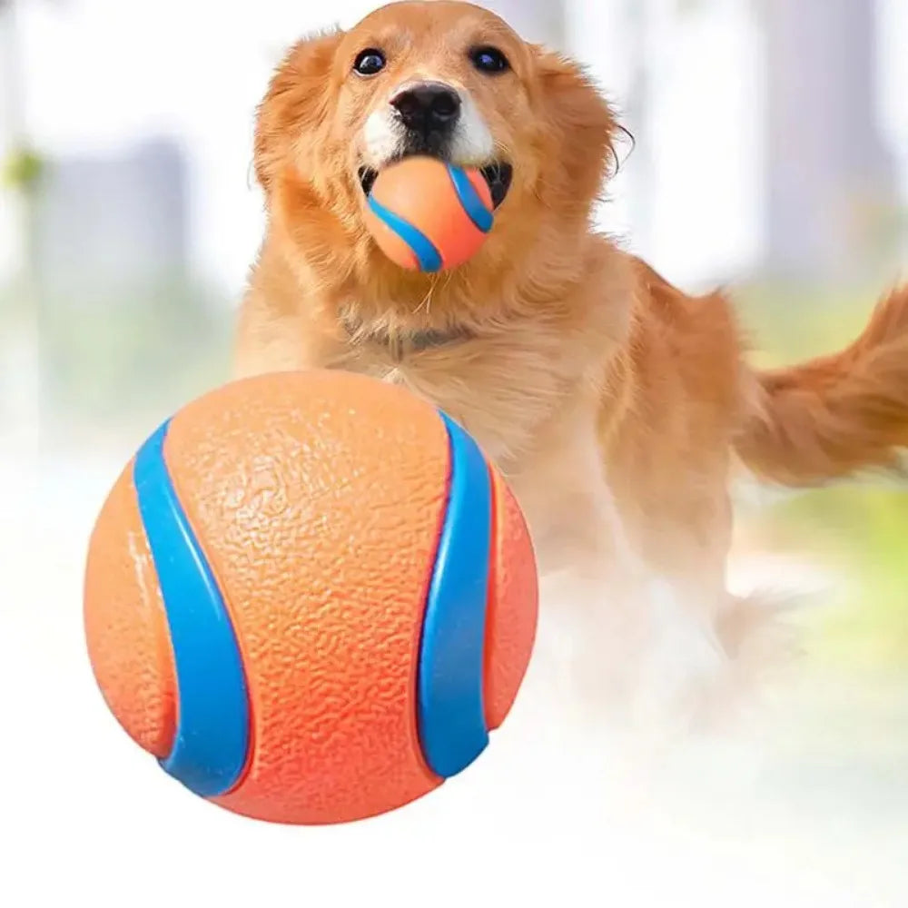 Durable Fetch Ball Toy for Dogs