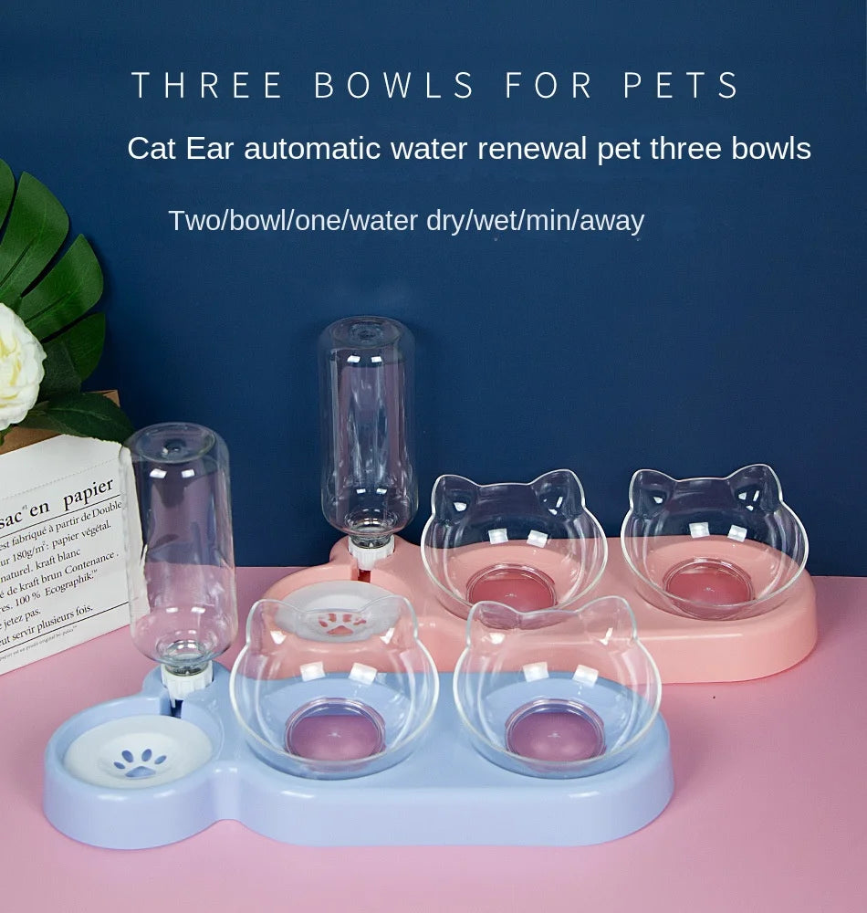Durable Elevated Pet Bowls Set