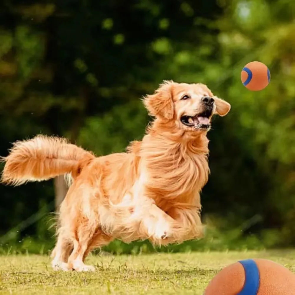 Durable Fetch Ball Toy for Dogs