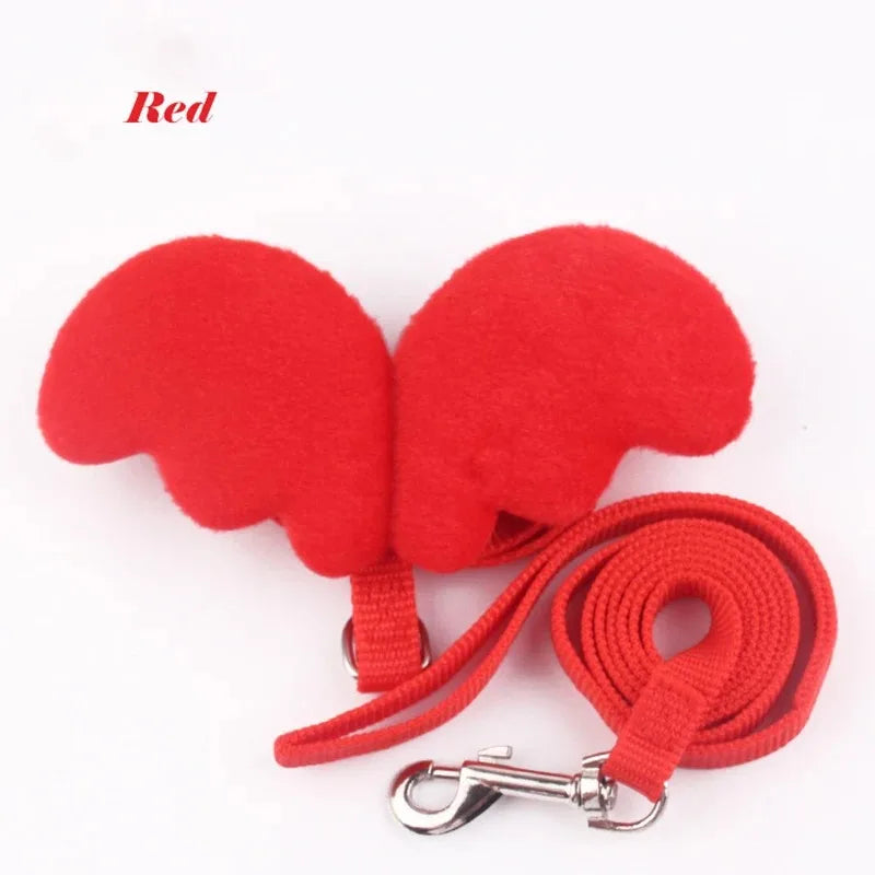 Cat Collar & Harness Accessories