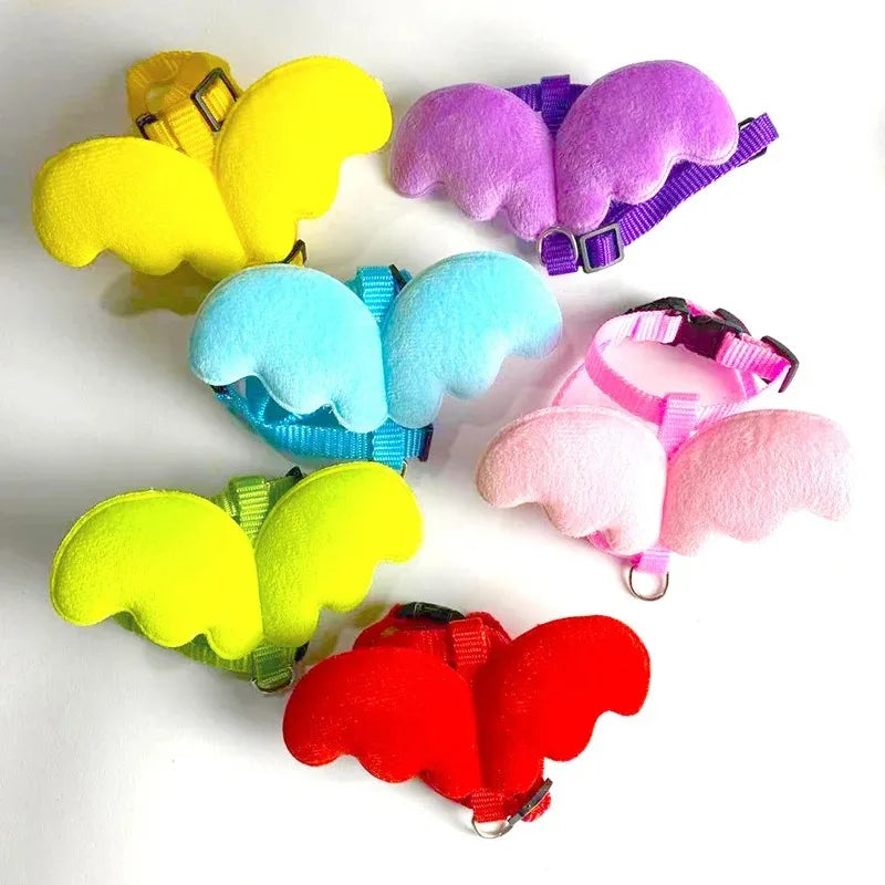 Cat Collar & Harness Accessories