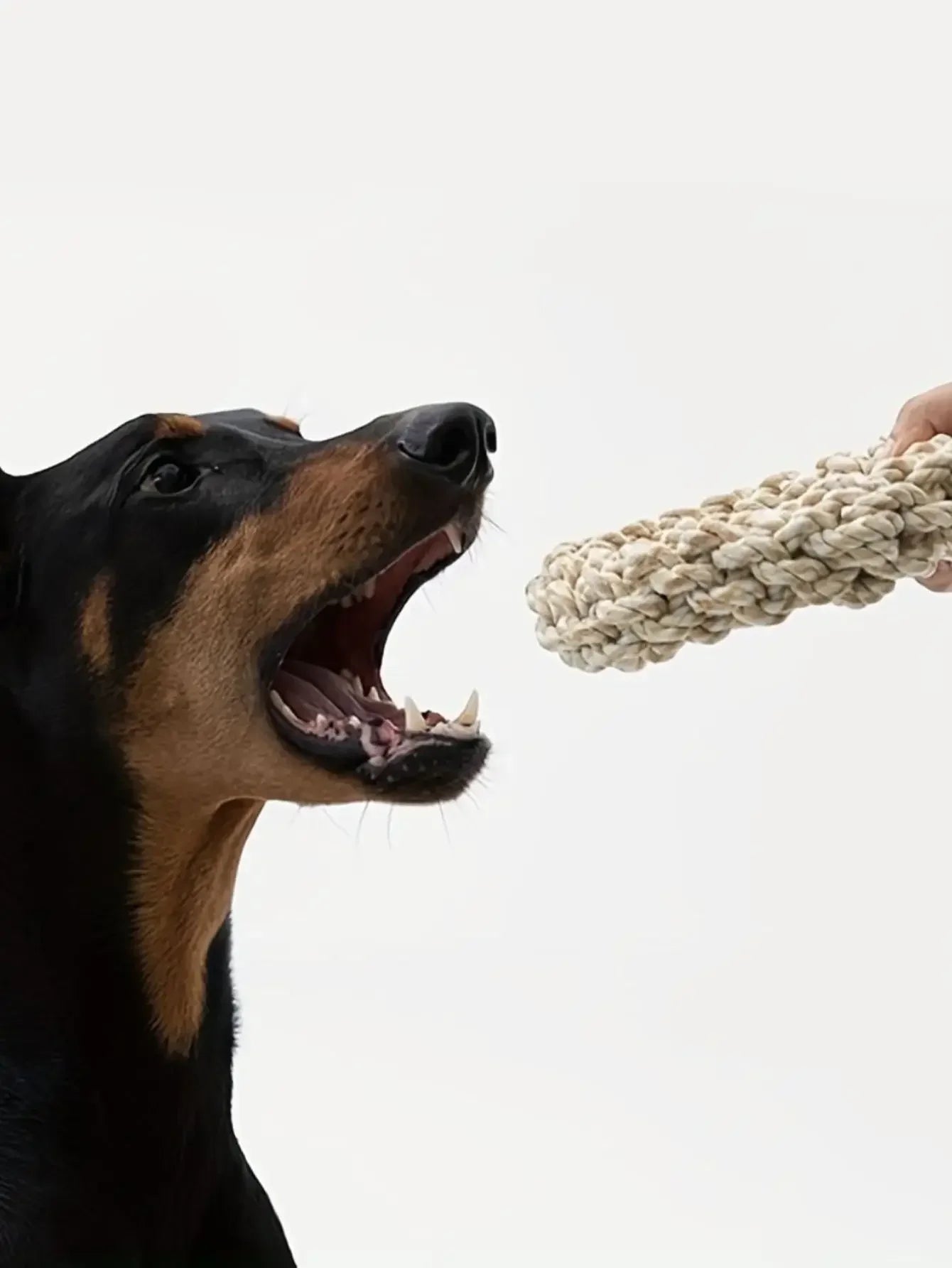 Durable Rope Chew Toy for Dogs