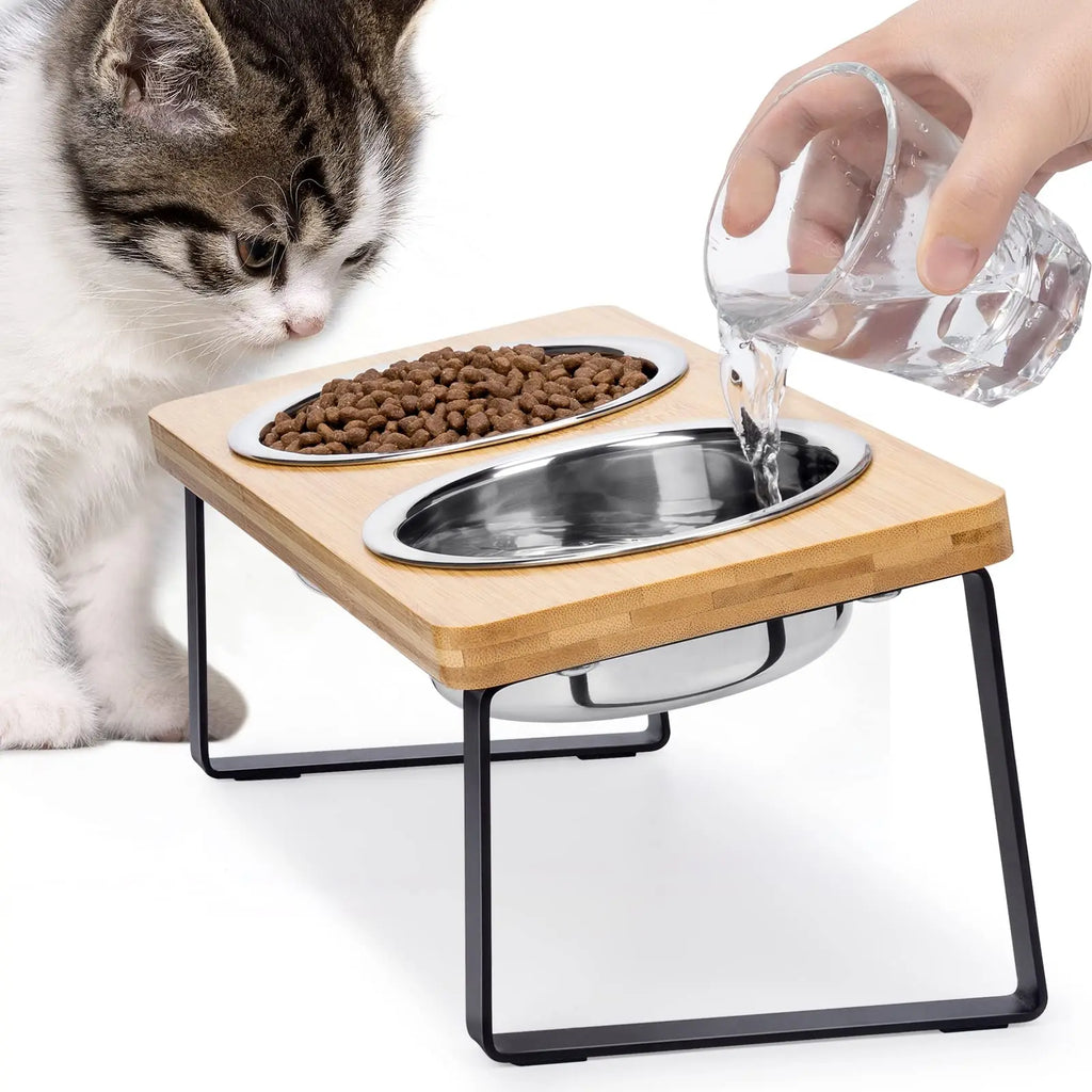 15° Tilted Elevated Cat Bowls with Wooden Stand (2 Stainless Steel Bowls)