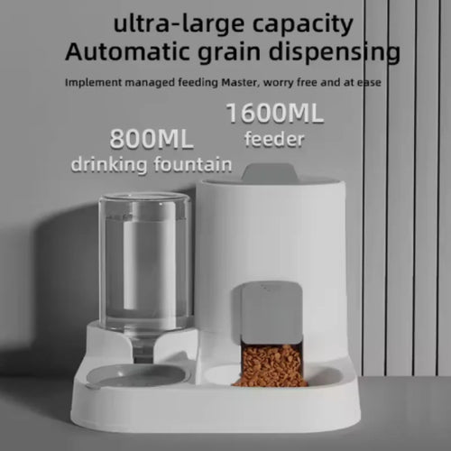 2-in-1 Cat Feeding & Water Bowl