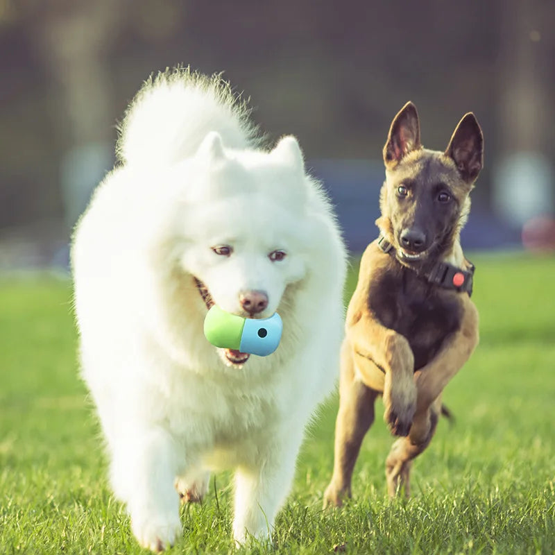 Treat-Dispensing Sniffing Ball for Dogs