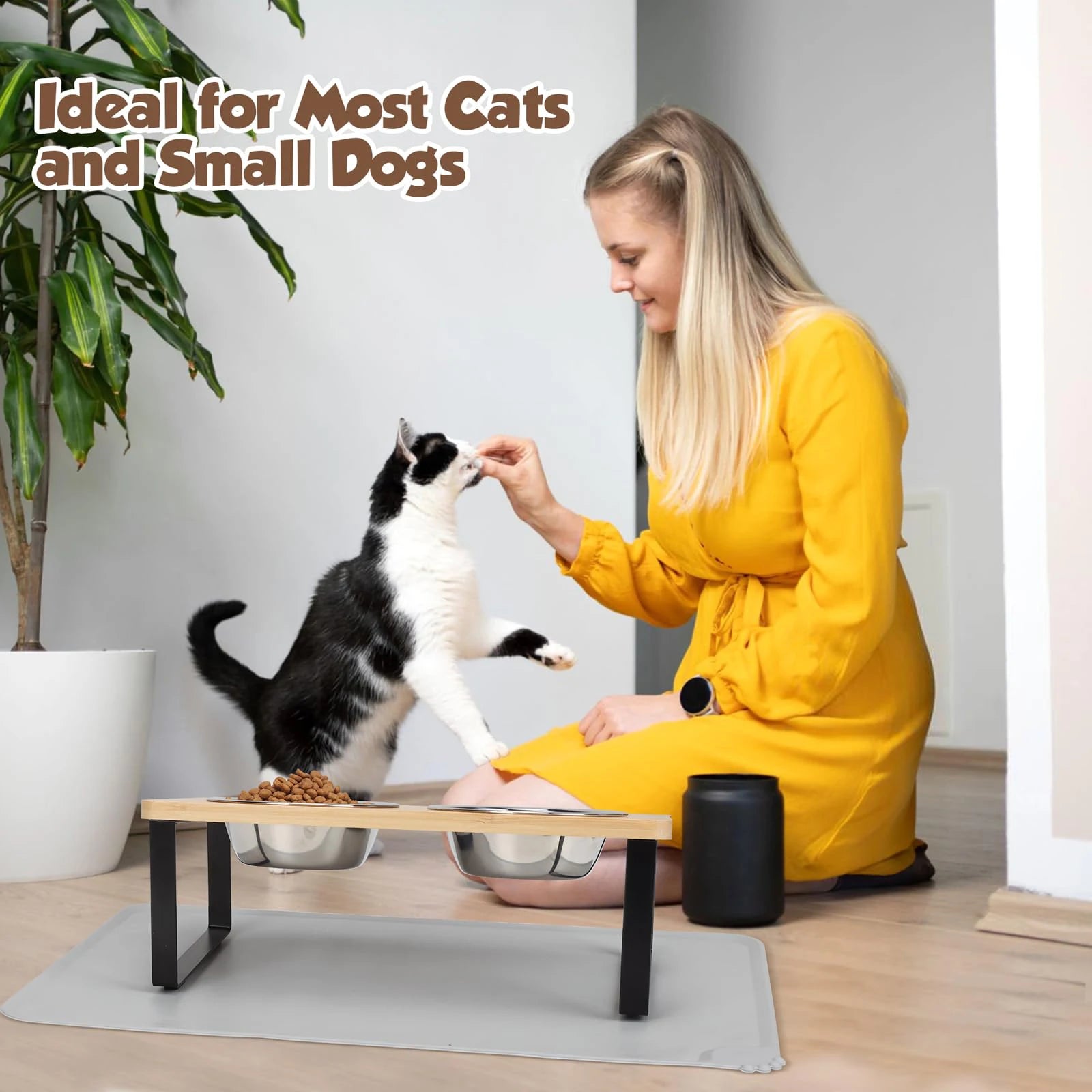 15° Tilted Elevated Cat Bowls with Wooden Stand (2 Stainless Steel Bowls)