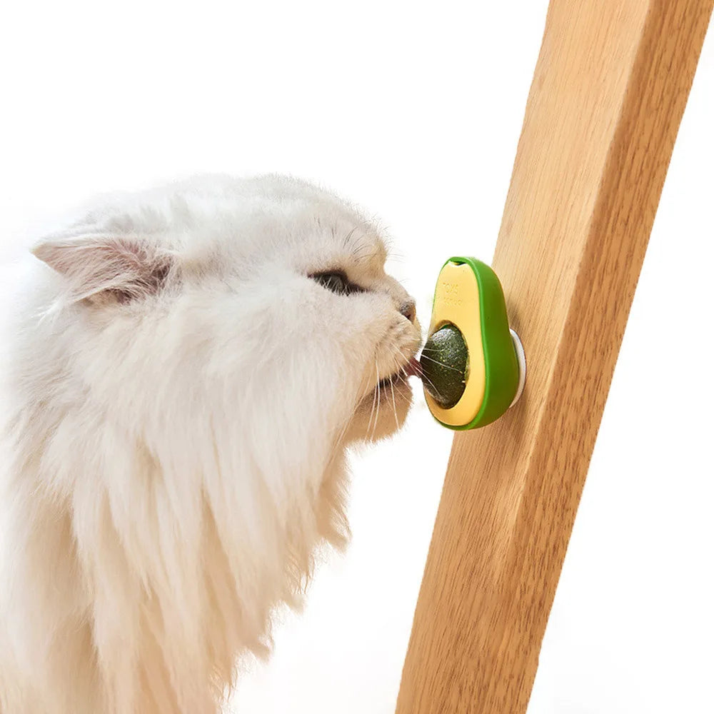 Catnip Balls & Interactive Cat Toys