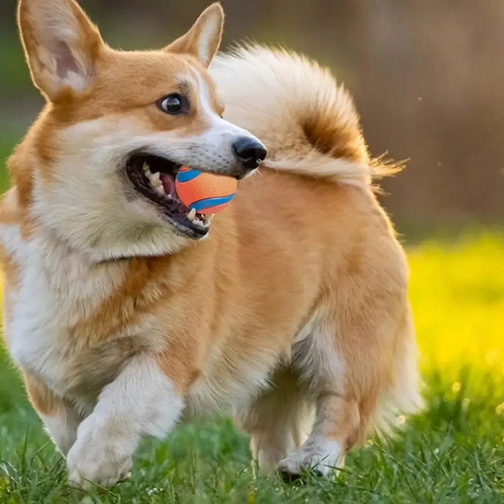 Durable Fetch Ball Toy for Dogs