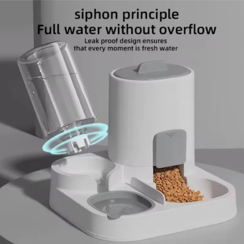 2-in-1 Cat Feeding & Water Bowl