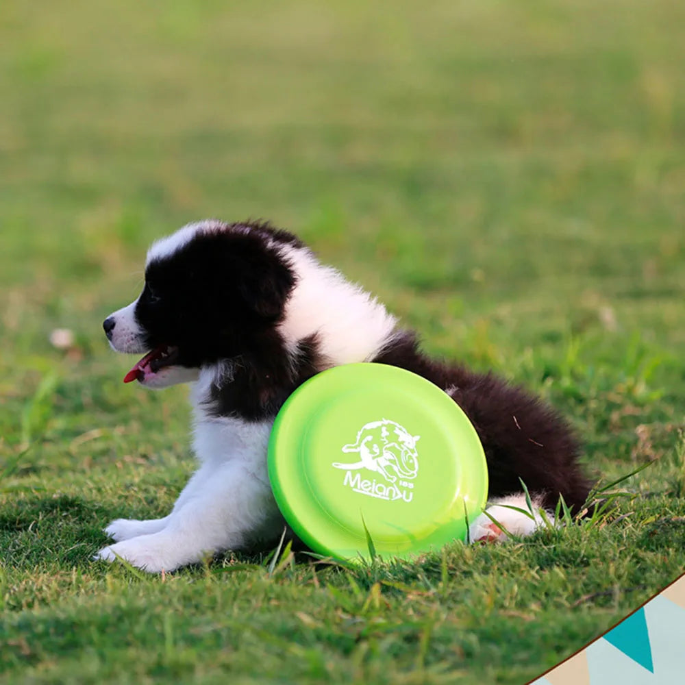 Durable Training Disc for Dogs